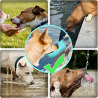 Compact portable pet water bottle with carrying strap for daily walks