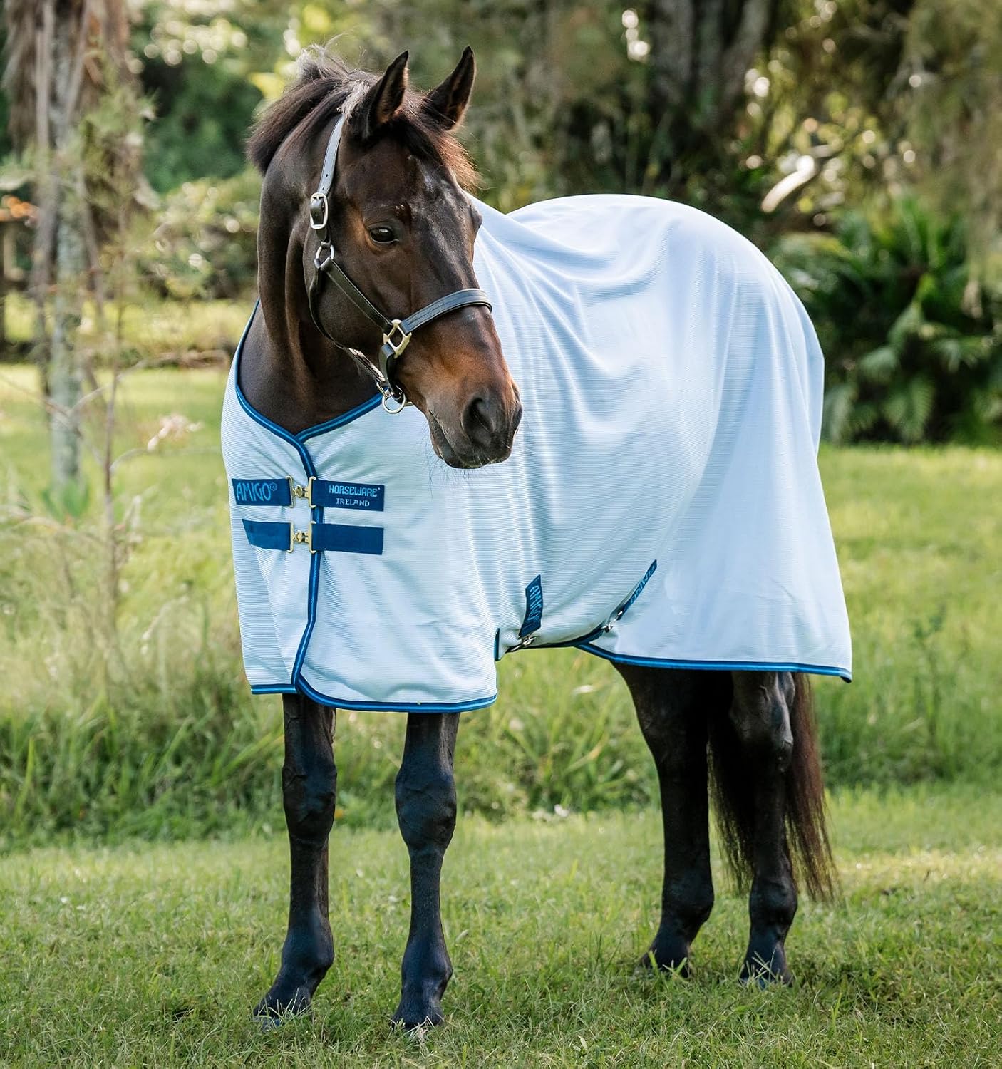 Horseware Amigo Bug Rug close weave mesh fabric showing detachable hood attachment detail