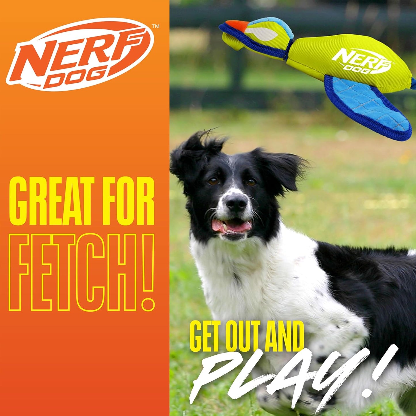 Nerf Dog toy demonstrating the crinkle wing texture