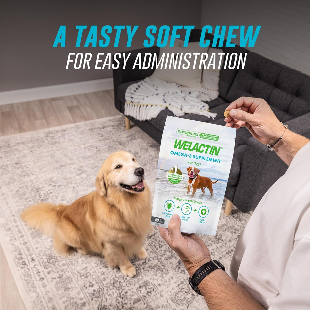 Nutramax Welactin daily canine chewable supplement showing texture close up.