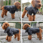 Small dog wearing stylish black punk style leather coat