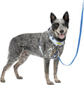 PetSafe Easy Walk Comfort No-Pull Dog Harness front view