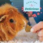 Natural fruit and hay rabbit and chinchilla treats detail