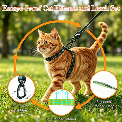 Cat wearing Mihachi durable polyester harness outdoors