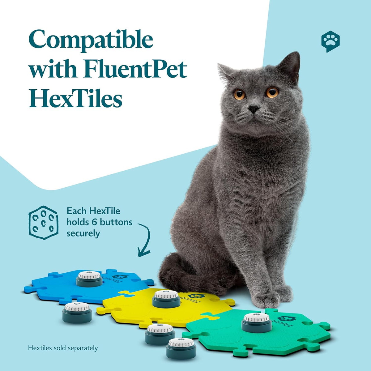 Six teal pet training talking buttons arranged with customizable ideogram stickers.