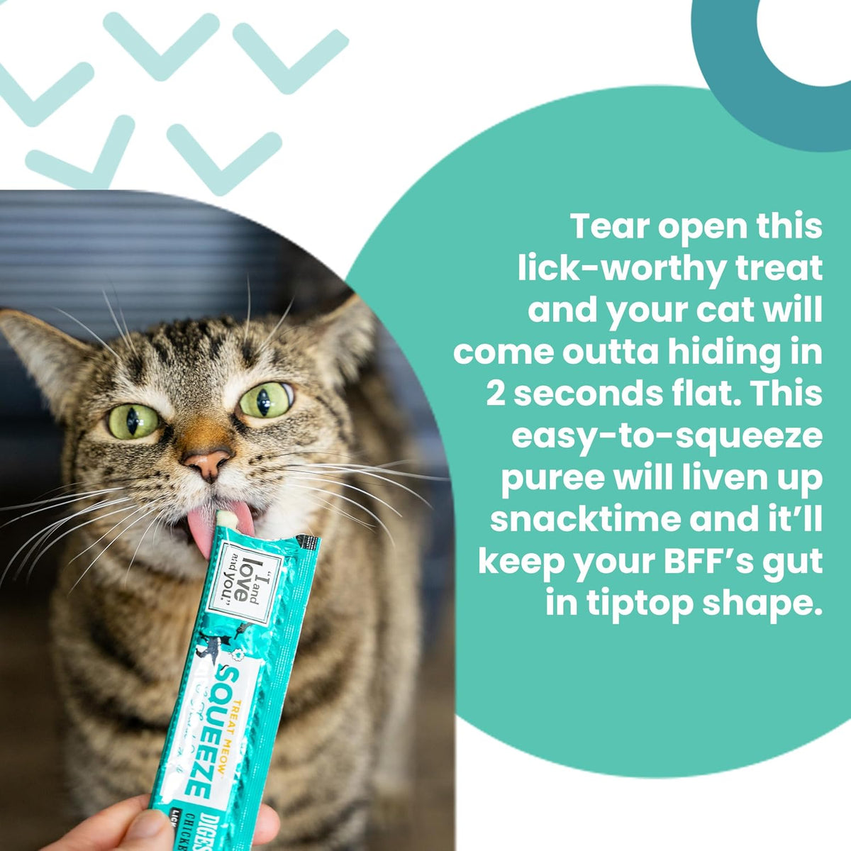 I And Love And You Treat Meow skin and coat support tuna recipe pouch