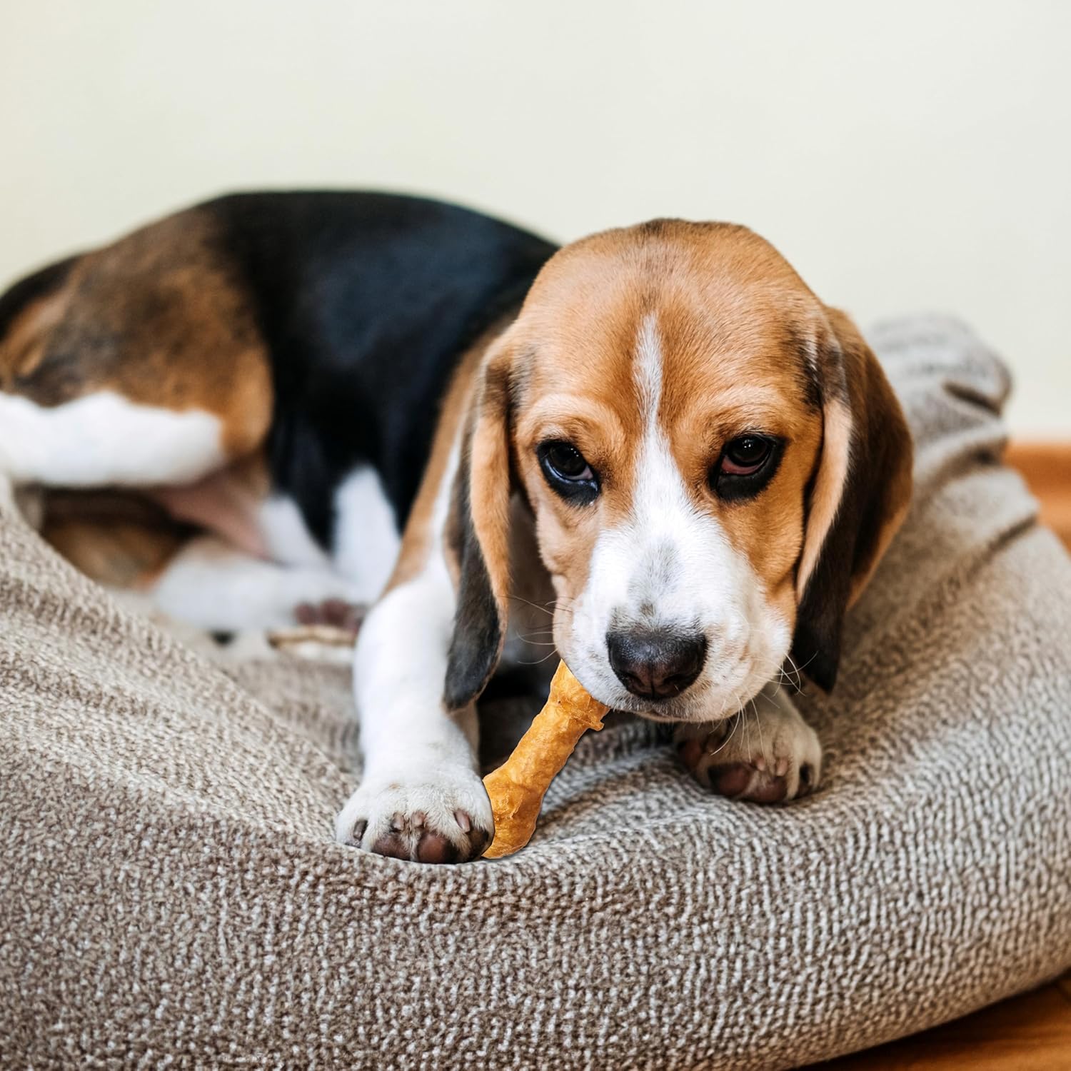 Pack of twelve Fieldcrest Farms rawhide alternative chews showing product texture