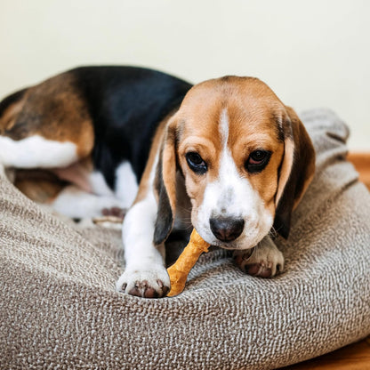 Pack of twelve Fieldcrest Farms rawhide alternative chews showing product texture