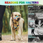 Barkless safety loop attachment for dog head collar
