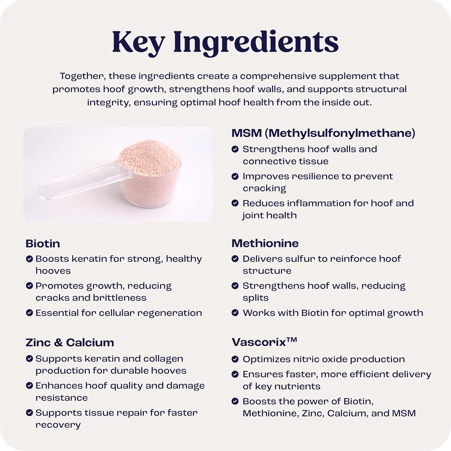USA imported high potency biotin and amino acid horse hoof growth powder.