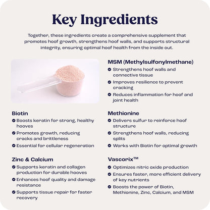 USA imported high potency biotin and amino acid horse hoof growth powder.