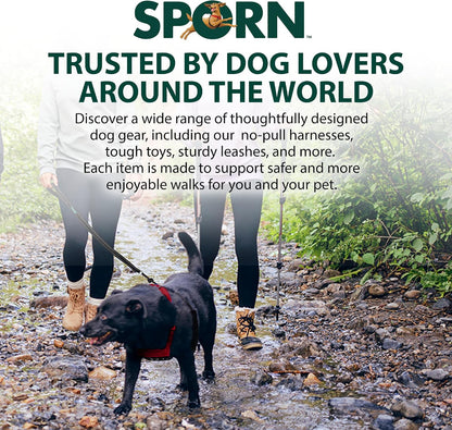 Dog wearing black Sporn mesh harness walking