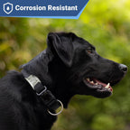 Personalized pet identification tag showing laser engraved text lines