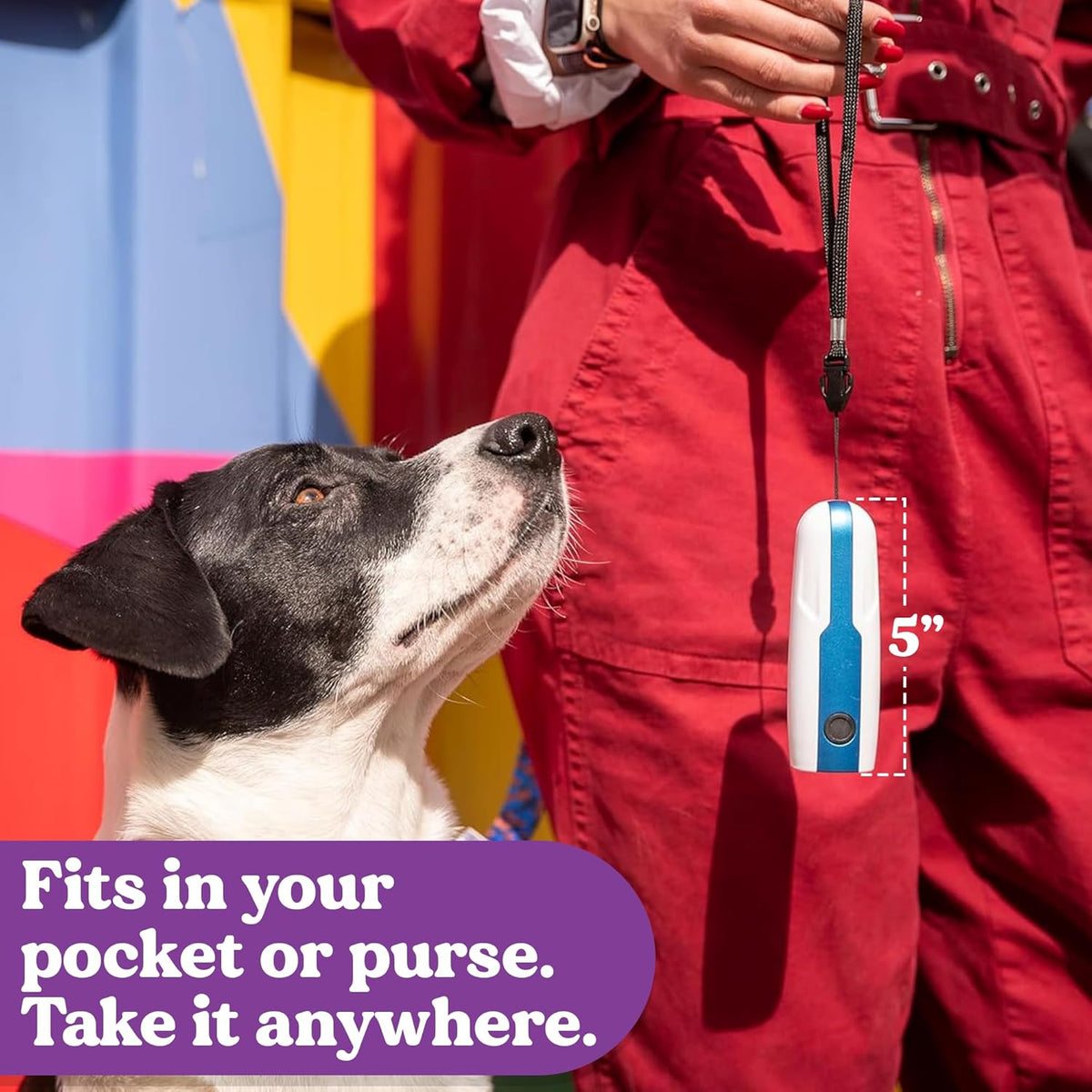 Close up of Doggie Don't electronic bark control button