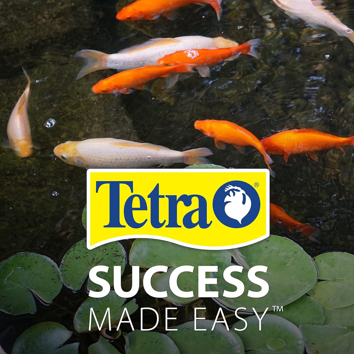 Tetra Pond Flakes textured fish food flakes close up