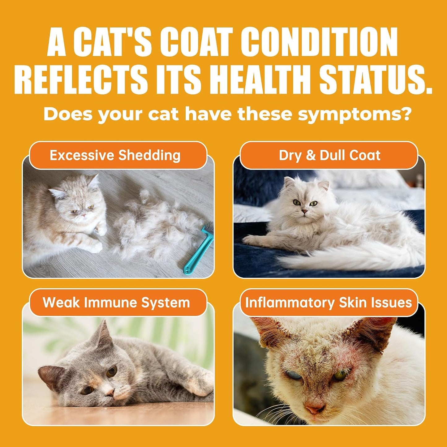Just Try Salmon Oil Cat Vitamins pump bottle with chicken flavor icon
