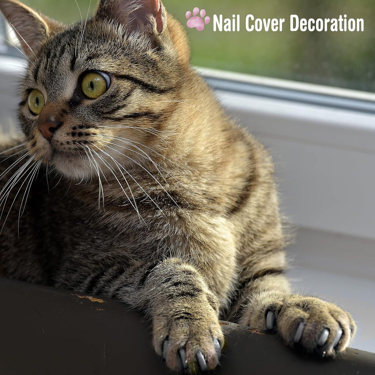Kritkin cat nail clipper and file toolset for safe paw trimming.