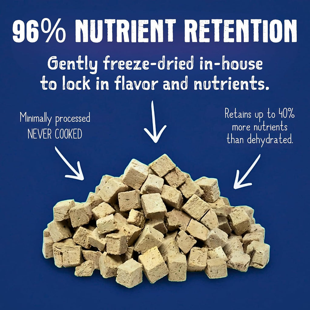 Natural high protein freeze dried raw dog food nuggets close up