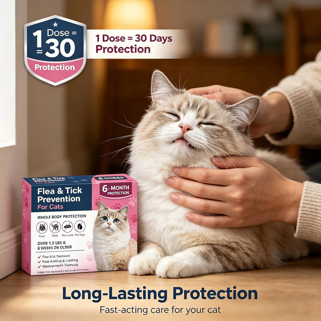 Nuzzleup cat parasite protection box showcasing the fast-acting waterproof formula