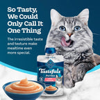 Natural wet cat food puree squeezed into bowl for serving