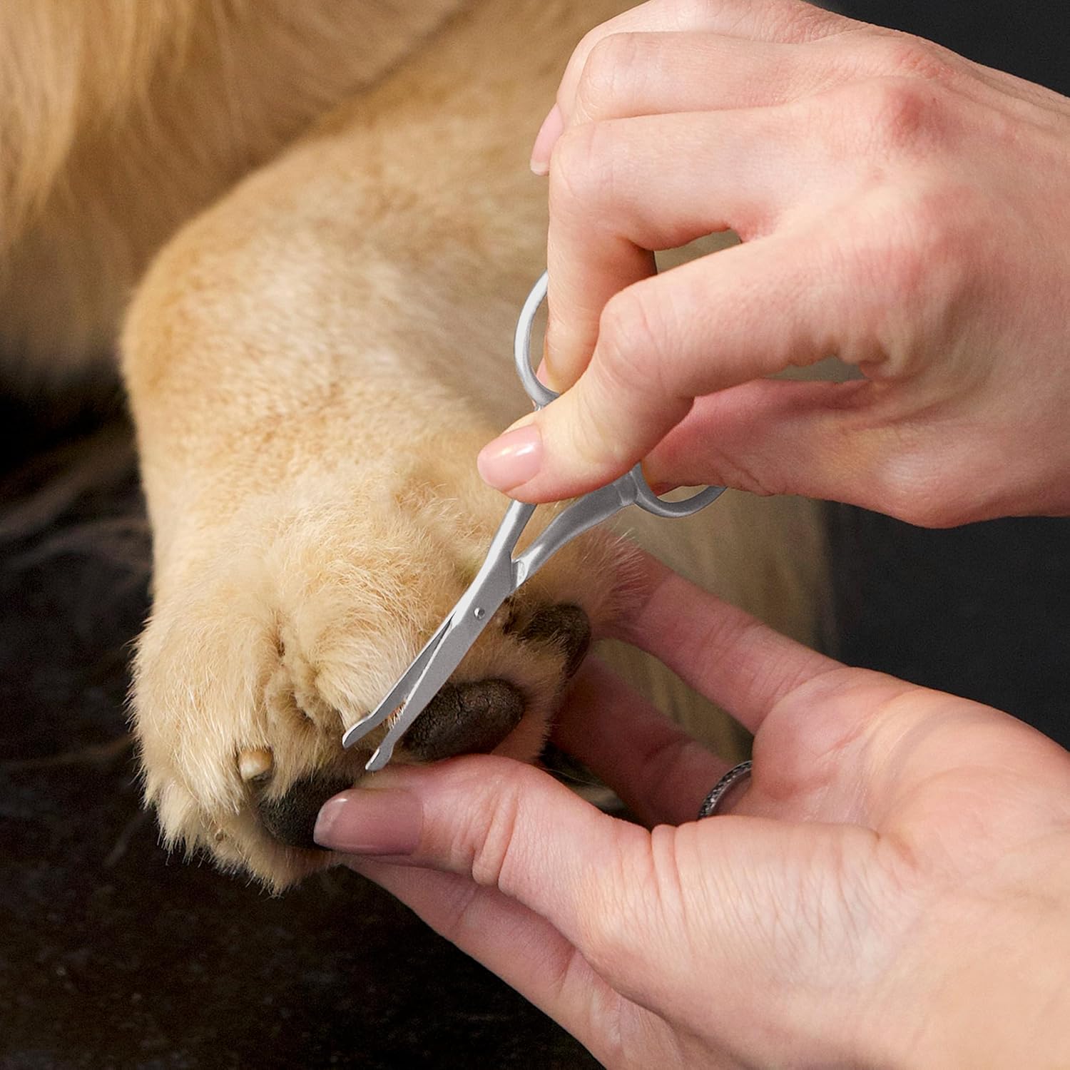 Tweezerman brand dog grooming scissors showing lightweight comfort handle design.