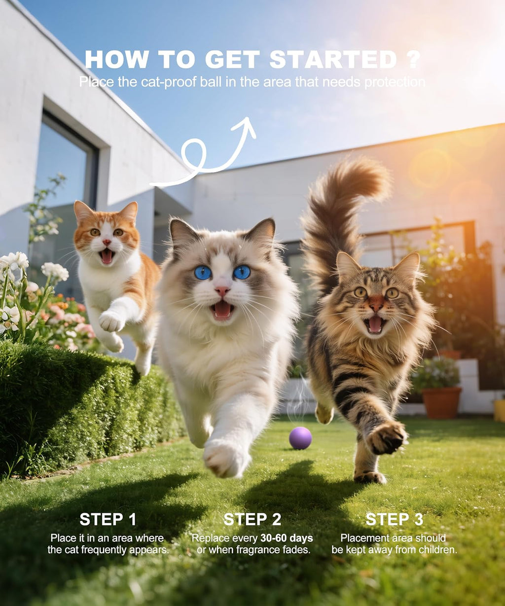Safe and effective cat deterrent for home and garden protection