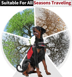 DENTRUN premium tear-resistant nylon dog pack being used on an outdoor trail walk