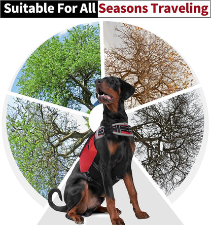 DENTRUN premium tear-resistant nylon dog pack being used on an outdoor trail walk