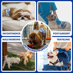 Blue pattern design with yellow circles on disposable male pet wrap