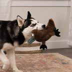 Durable ultrasonic squeaker dog toy in large brown platypus design