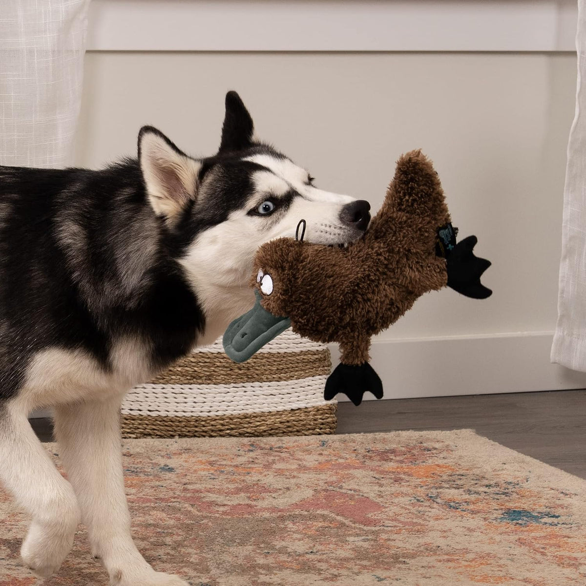 Durable ultrasonic squeaker dog toy in large brown platypus design