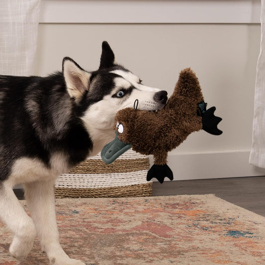 Durable ultrasonic squeaker dog toy in large brown platypus design