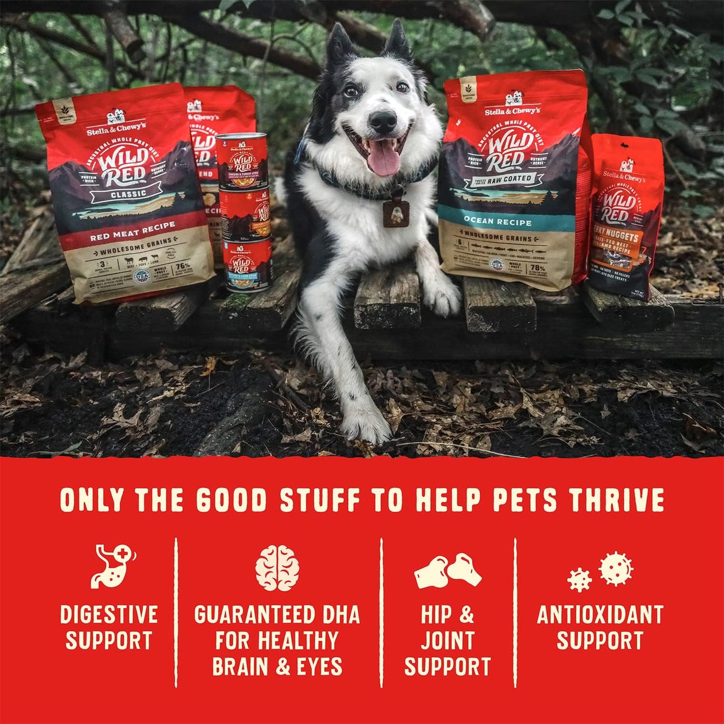 Close up look of freeze dried raw coated kibble pieces mixed with poultry chunks
