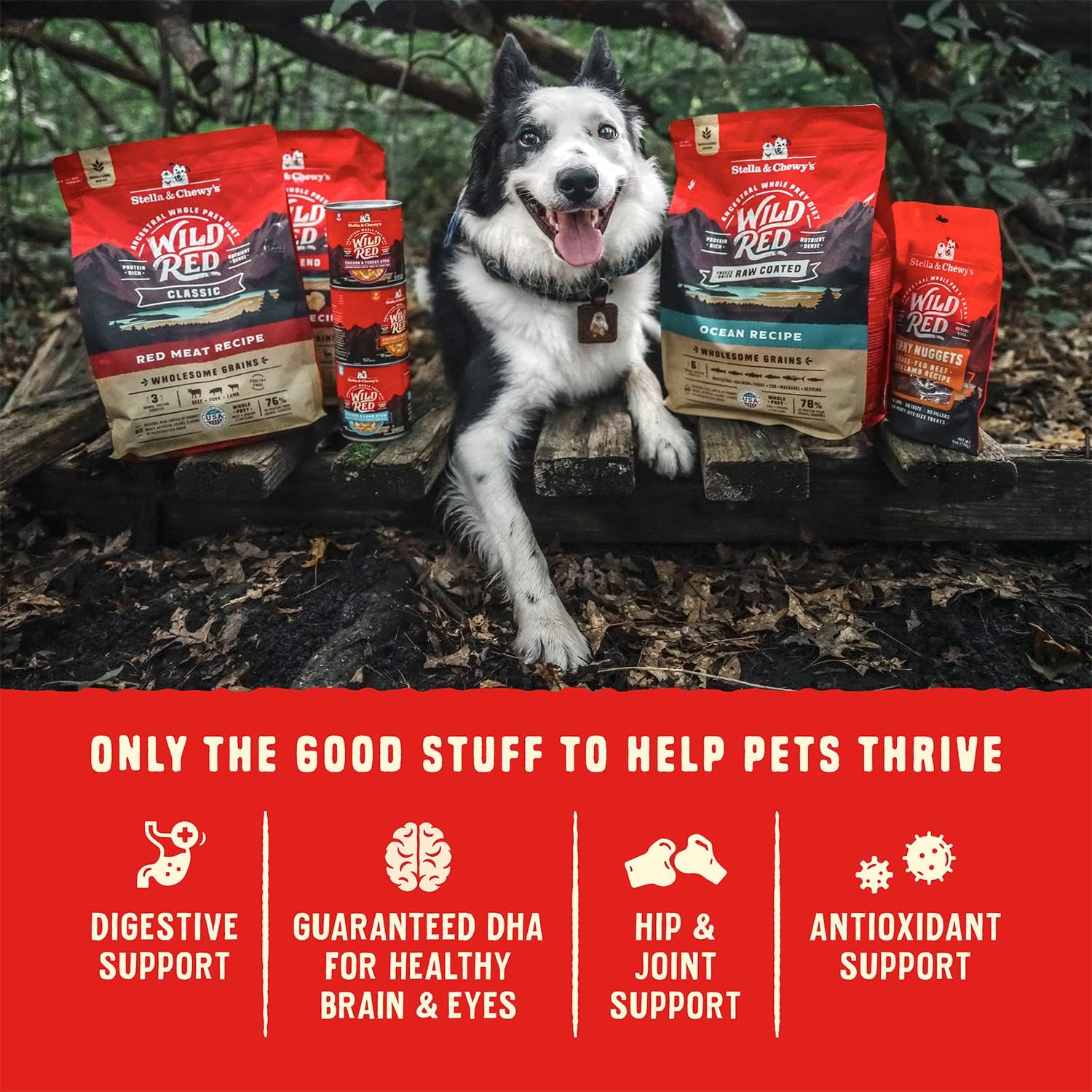 Close up look of freeze dried raw coated kibble pieces mixed with poultry chunks