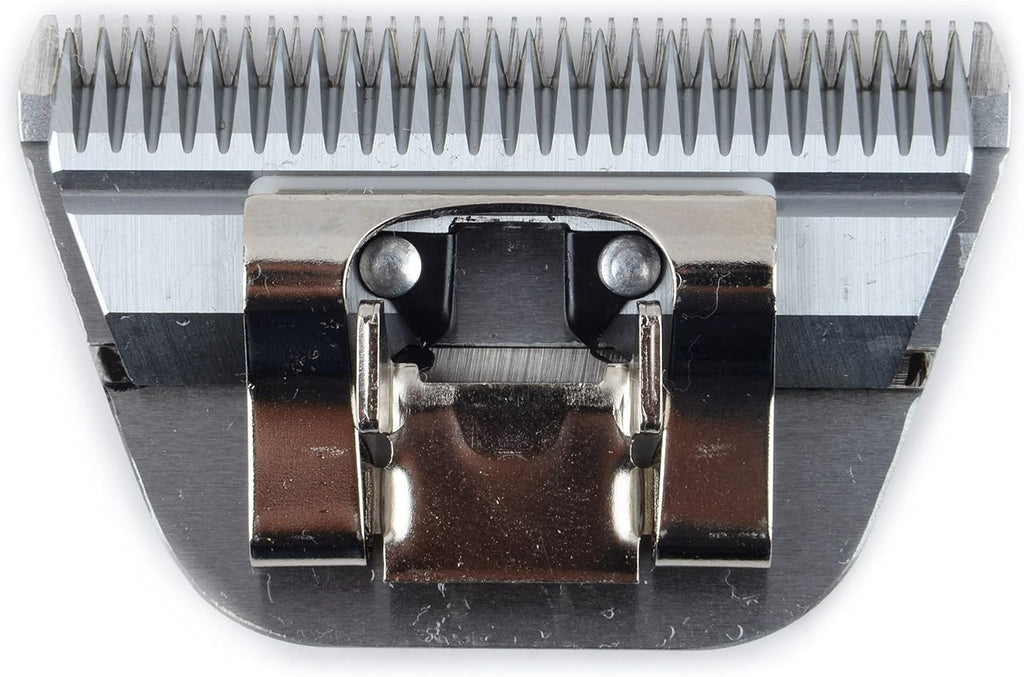 Furzone 30W wide A5 detachable blade made of high carbon Japanese steel close up