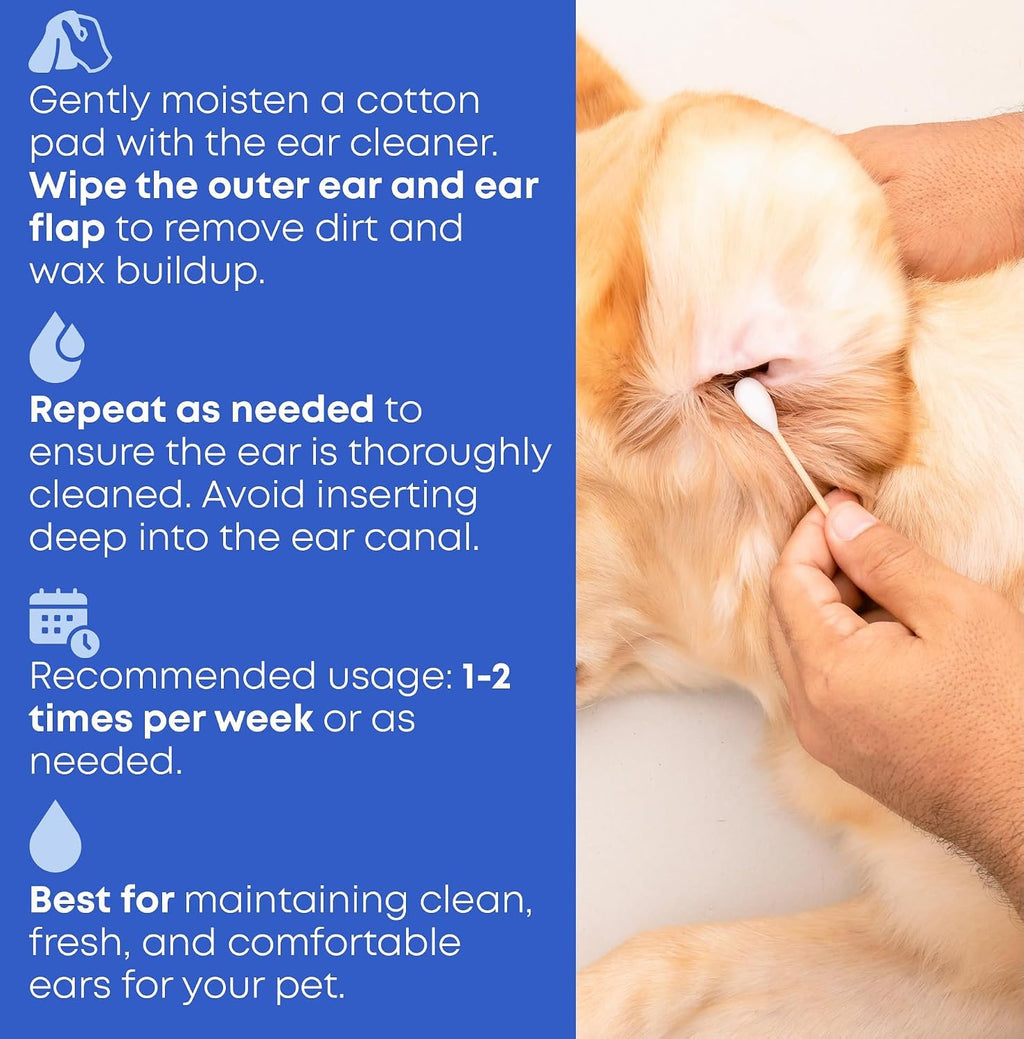 Happy dog and cat representing multi-animal use for ear cleaner
