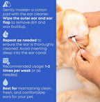 Happy dog and cat representing multi-animal use for ear cleaner