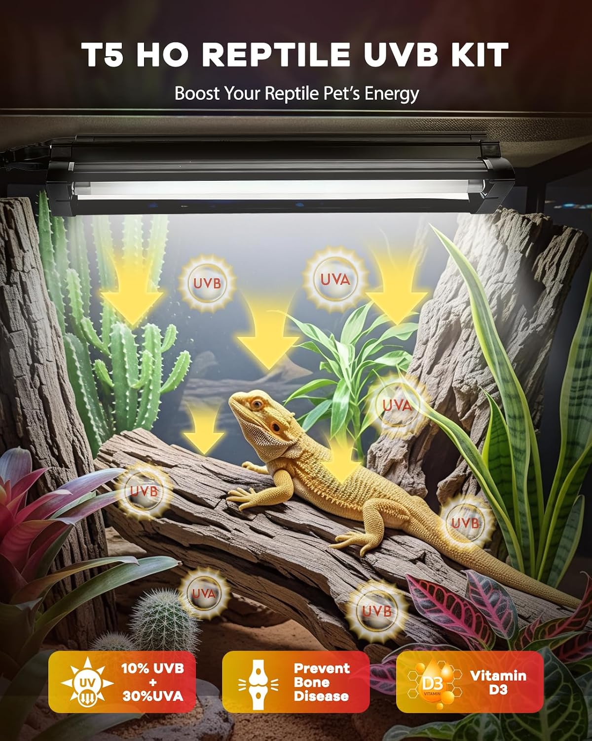 Haceryc High Output reptile desert lamp kit with test sensor cards.