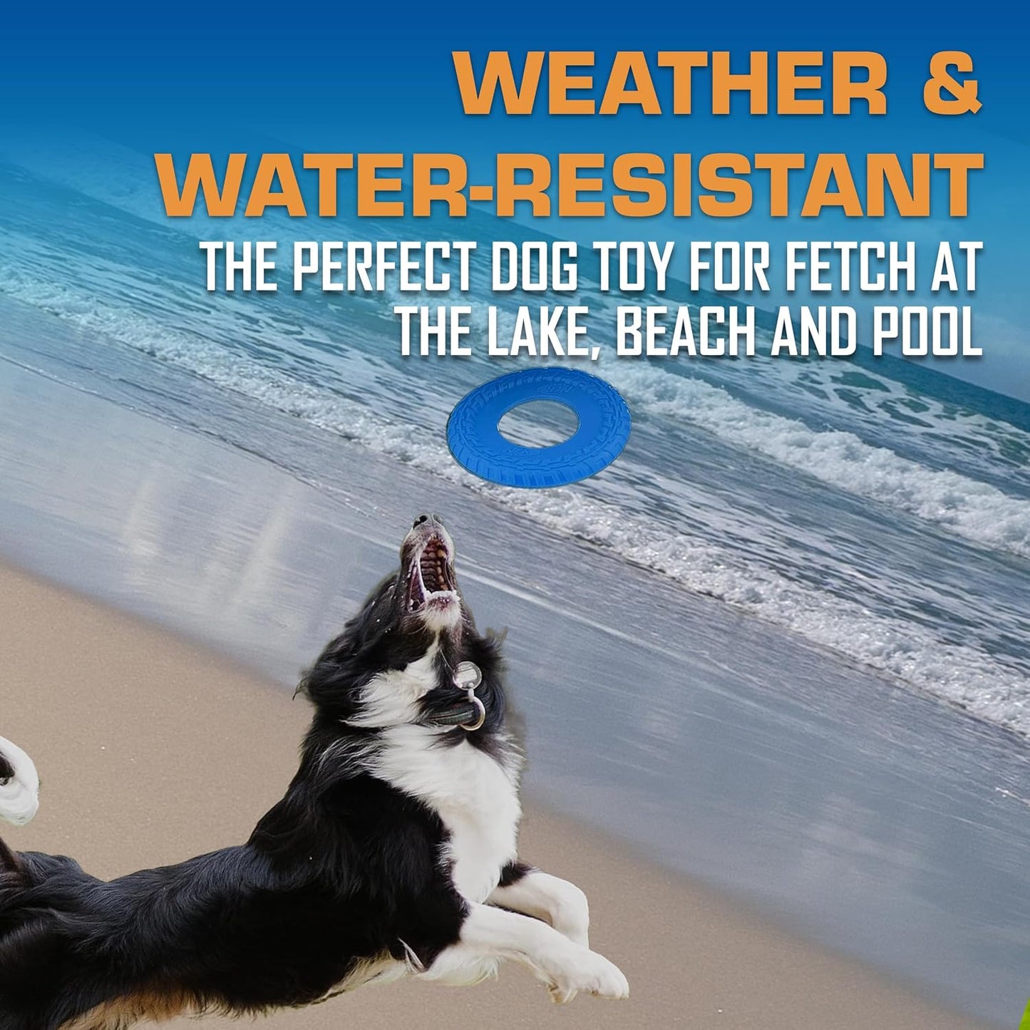 Nerf Dog Tire Flyer for large dogs outdoors