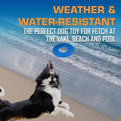 Nerf Dog Tire Flyer for large dogs outdoors