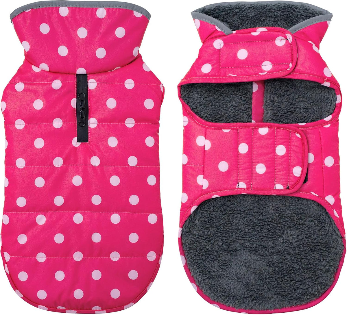 Small dog wearing red Petglad winter snow vest