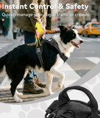 Joytale training walking dog harness with dual lead clips back view