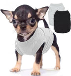 2 Pieces Dog Clothes for Small Dogs Girl Boy Chihuahua Clothes Summer Puppy Soft Dog Shirt Solid Color Pet Clothing Cute Cat Cloth, XXS,Green,Blue - Image 10