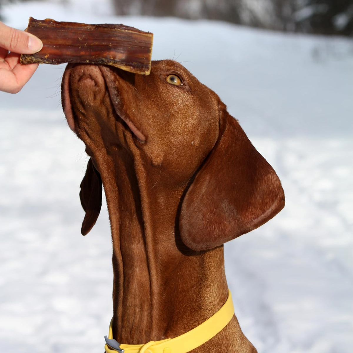 High protein single ingredient beef strips for dogs