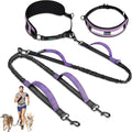 PetAmi hands free double dog leash front view showing purple padded lumbar waist belt.