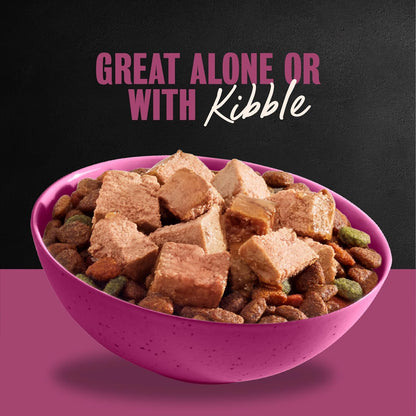 Cesar prime rib flavor wet dog food topper for adult dogs