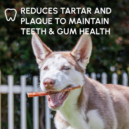 High protein healthy dog treats fifteen pack assortment.