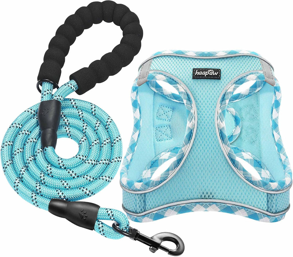 Haapaw adjustable step-in dog vest layout view with included lead