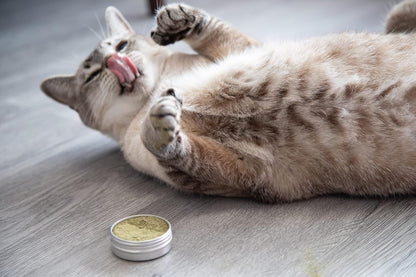 Meowy Janes USA imported cat play powder for feline anxiety relief