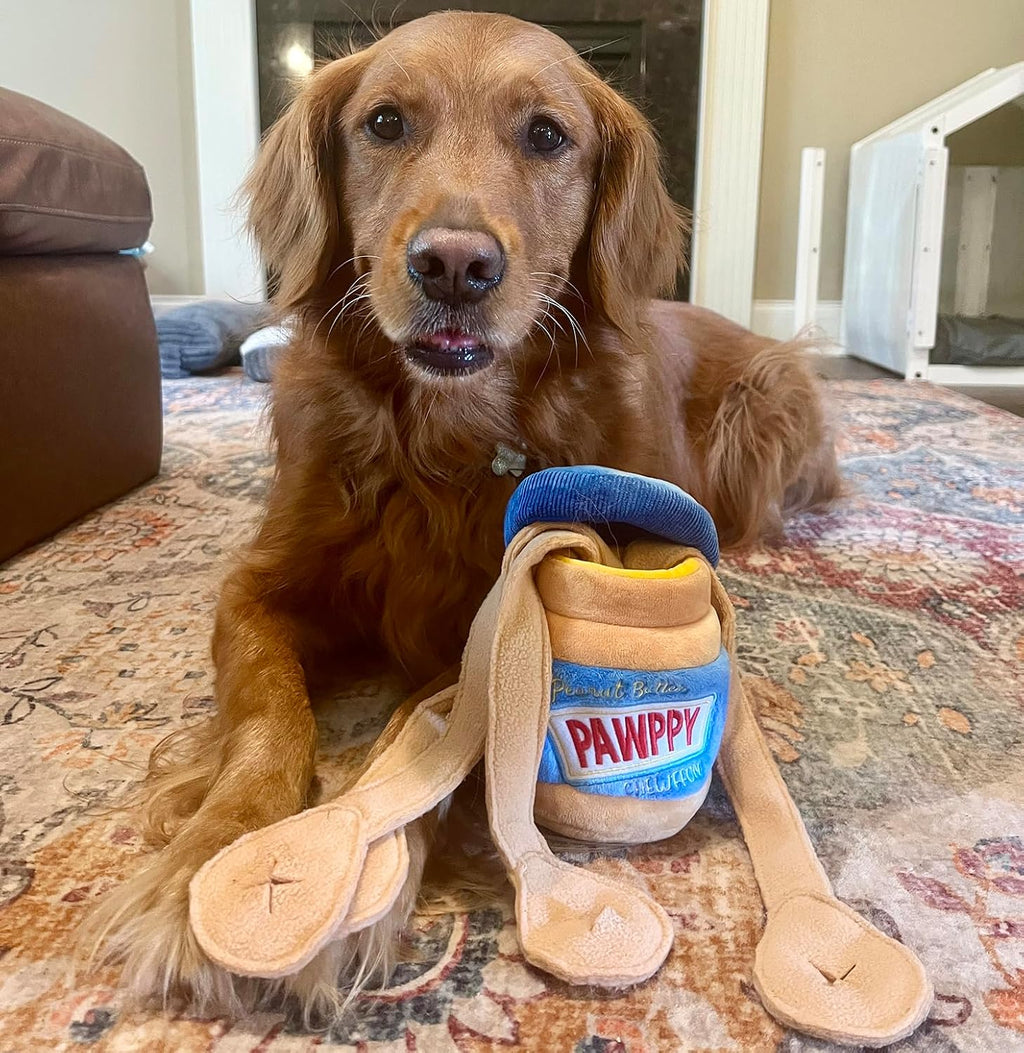 USA imported Chewffon enrichment toy for dogs